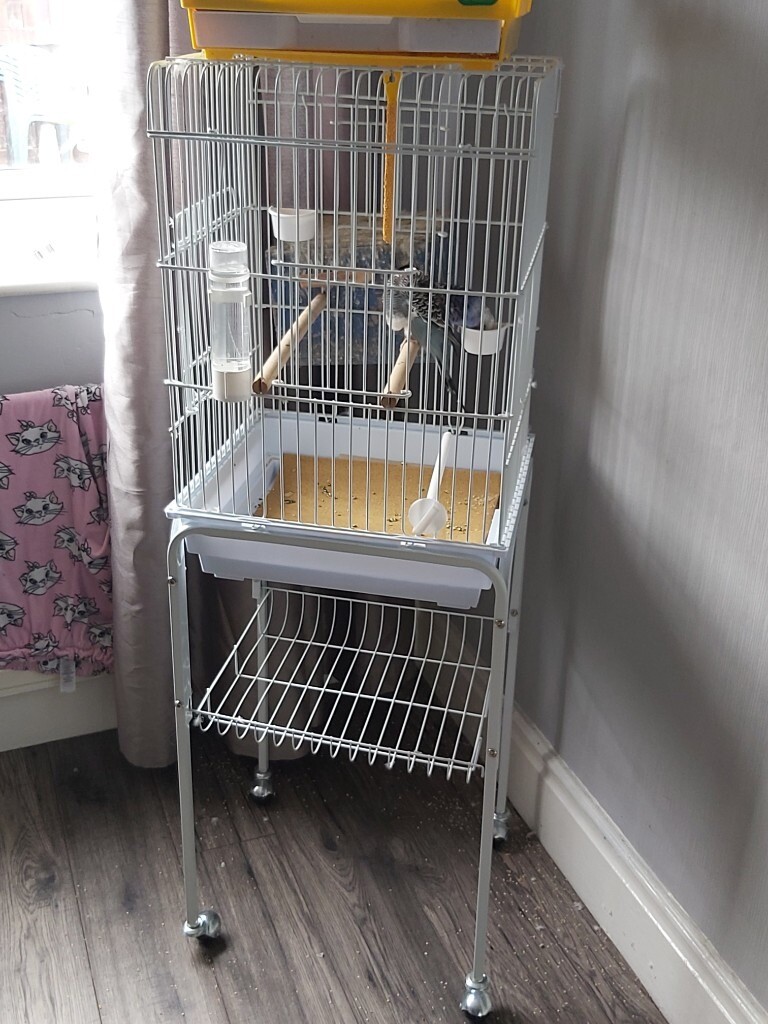 budgie cages gumtree